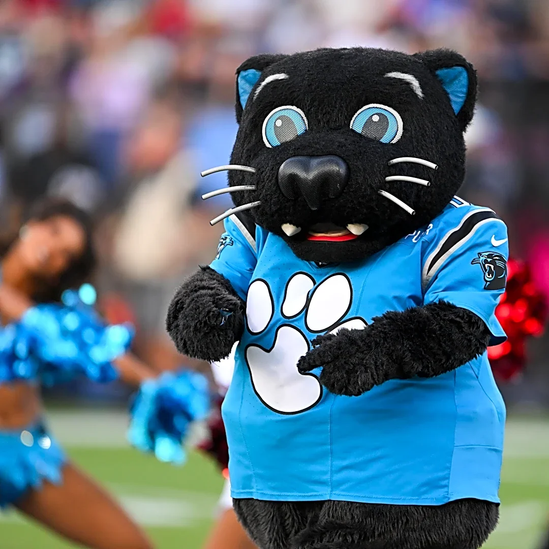 Eagles thoughts: The Panthers got paws