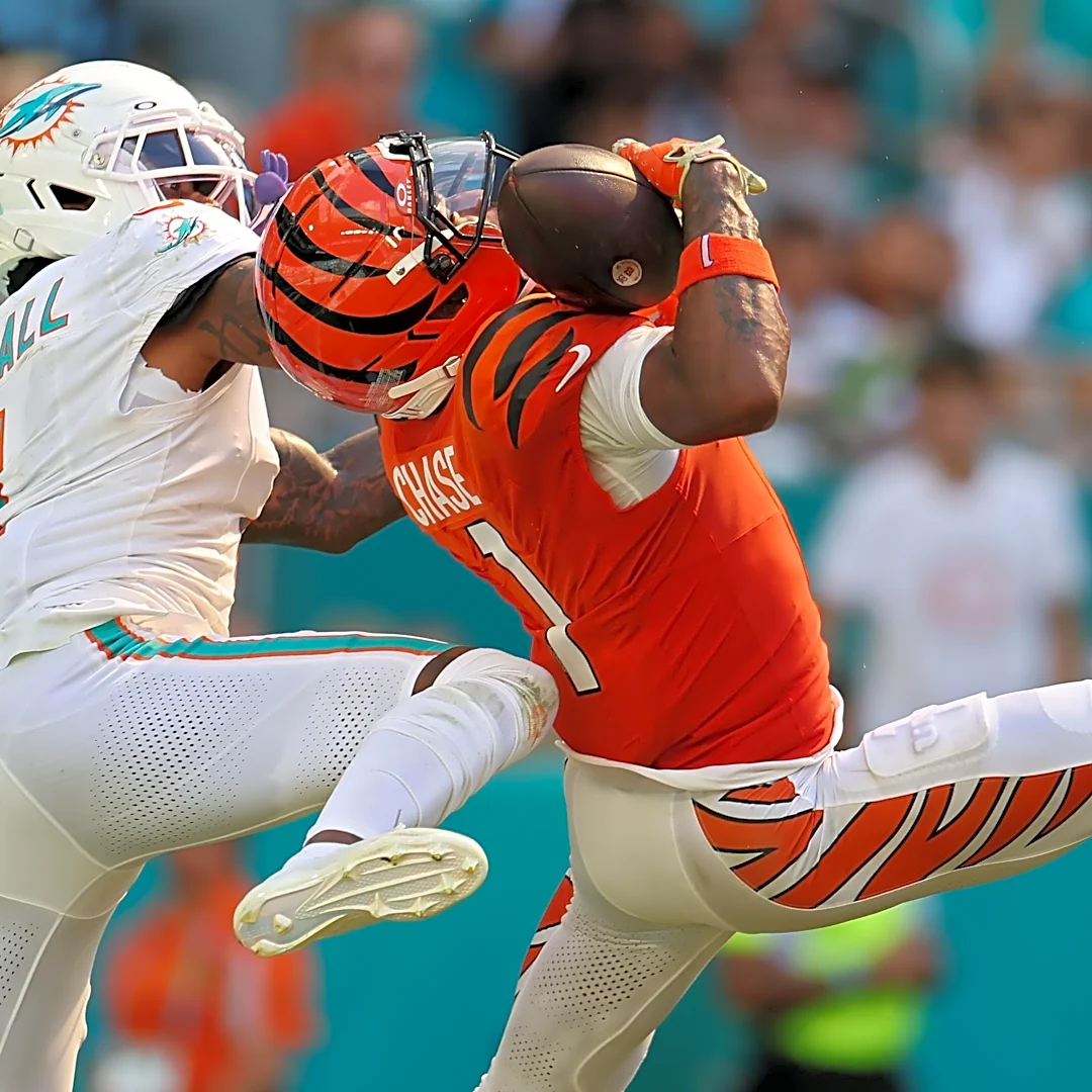 Bengals Bye Week Awards: Team MVP