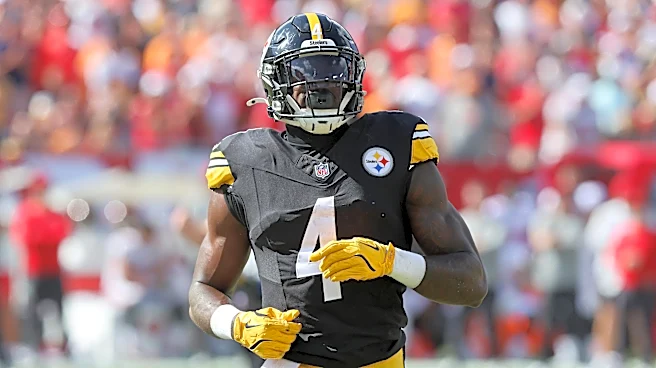 Steelers WR DK Metcalf done with playing overseas