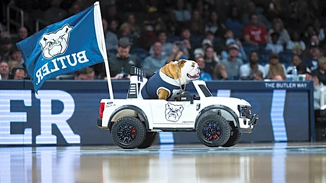 Marquette Volleyball Preview: vs Butler & vs Xavier