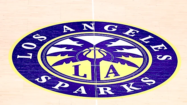 Mark Walter looking to sell Sparks, hoping for $700 million