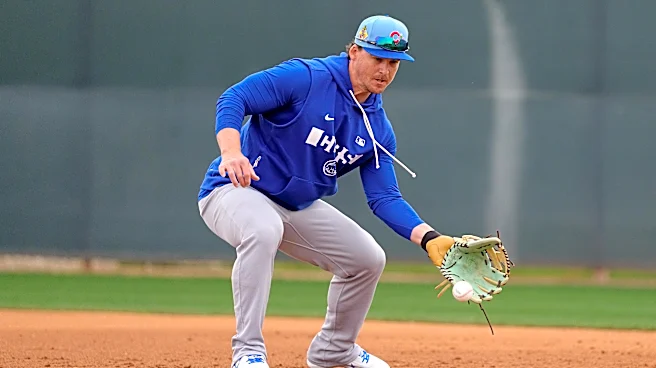 A few thoughts about the Cubs and Tyler Austin