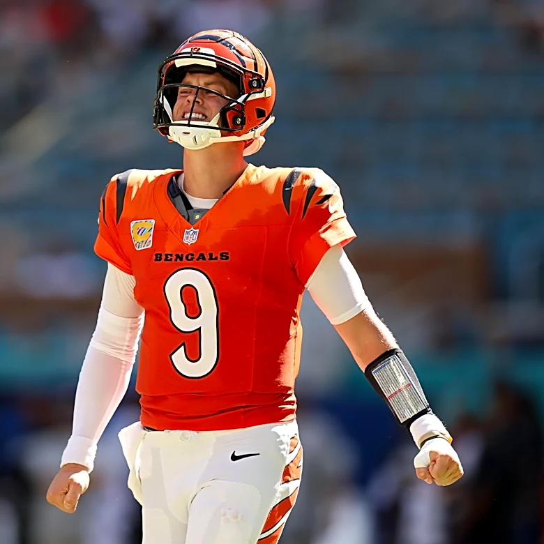 Ravens vs. Bengals: Kickoff time, TV channel, odds, and more