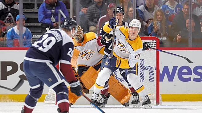 Open Thread: Colorado Avalanche @ Nashville Predators (6:00 P.M. MDT)