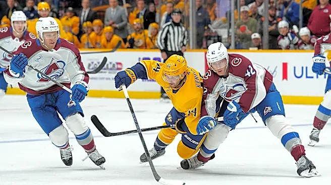 Recap: Avalanche Fall Flat in Nashville