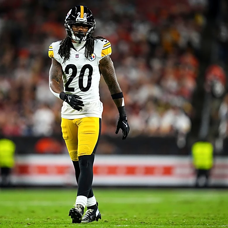 Former Steelers safety signs with Ravens