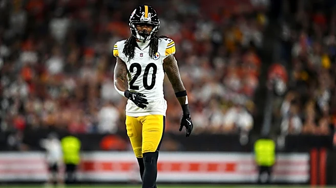 Former Steelers safety signs with Ravens