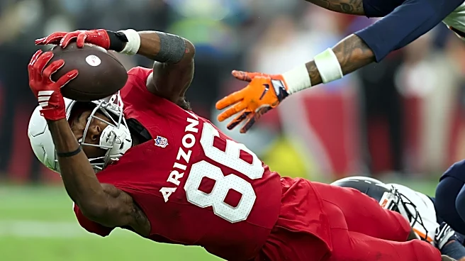 Cardinals receiver out for the season