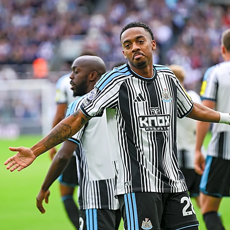Newcastle United Have Found a Way to Respond After Two Consecutive Premier League Defeats