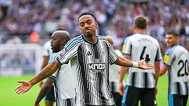 Newcastle United Have Found a Way to Respond After Two Consecutive Premier League Defeats