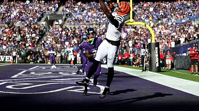 Ravens’ reasons for concern and optimism