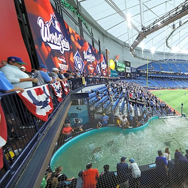 World Series Game 5 Thread