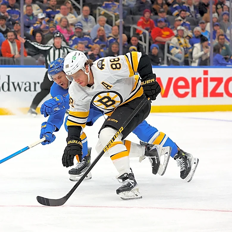 Public Skate: Bruins vs. Blues