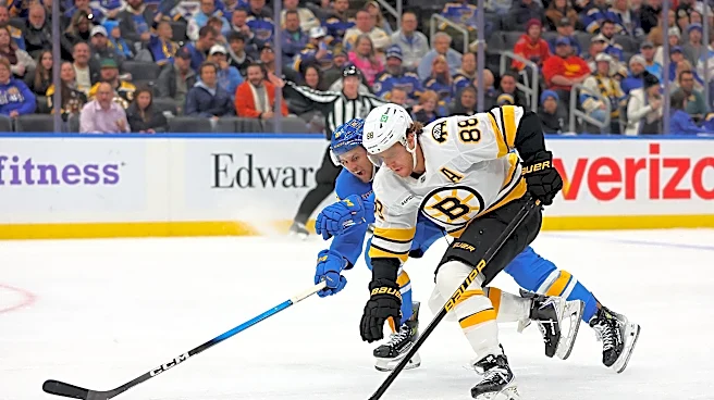 Public Skate: Bruins vs. Blues