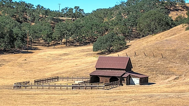 The Link Farm: 10.30.26