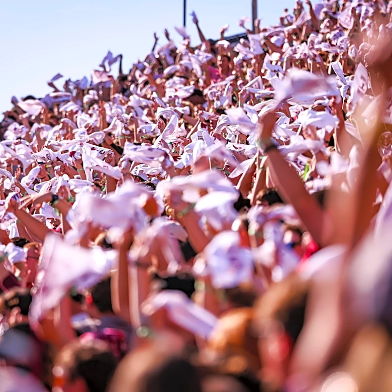 College football on TV today: Saturday, Oct. 31
