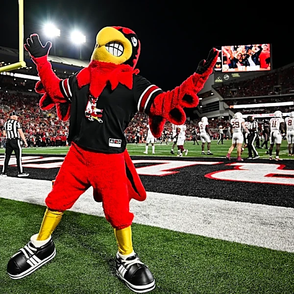 Game Day: Louisville vs. Stanford