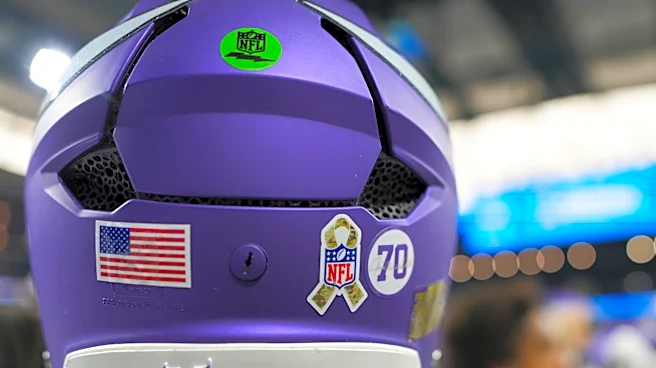 Prove Them Wrong: An Open Letter to the Minnesota Vikings