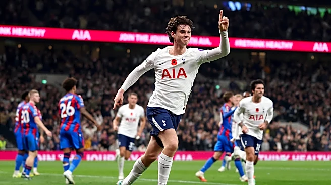 Tottenham 2-0 Crystal Palace: Community Player Ratings