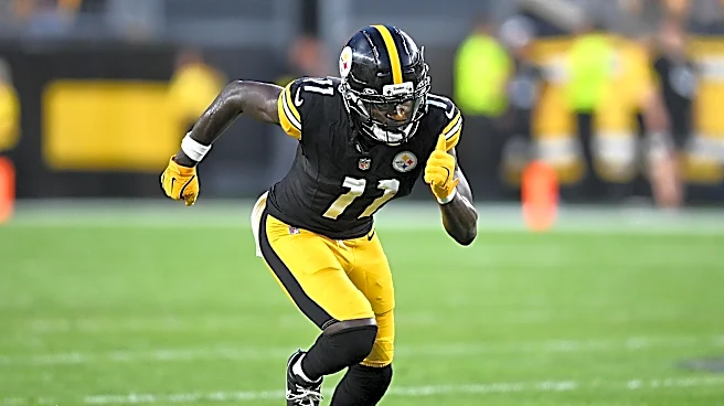 Steelers add WR help ahead of Browns game