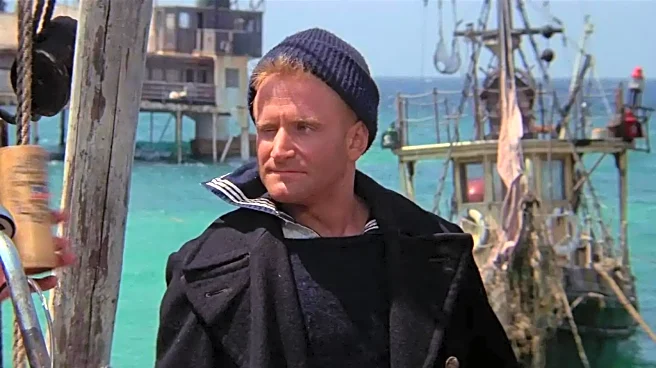 This Critically-Slammed Robin Williams Movie's Set Is Now A Major Tourist Attraction