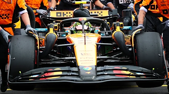 What Is The Little Antenna On The Front Of An F1 Car For?