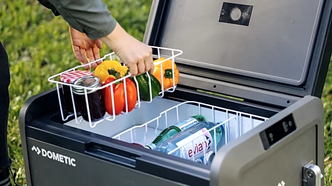 Is Switching To An Electric Cooler Worth It? Here's What Users Say