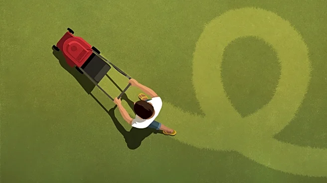 13 Tips To Maintain Your Lawn Mower