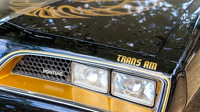 What Makes A 'Bandit Edition' Trans Am Different From Any Other Pontiac?