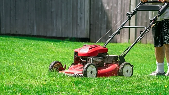 Can You Use Premium Gas In A Lawnmower? Here's What Happens If You Do
