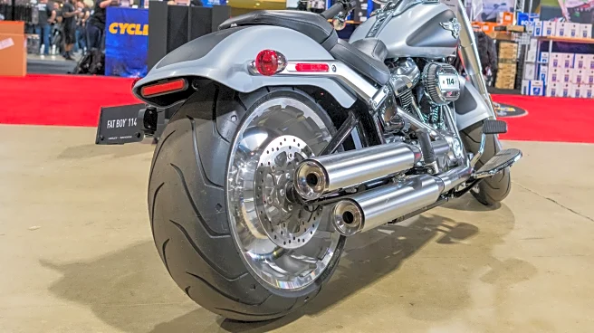 3 Harley-Davidson Models With Fat Rear Tires