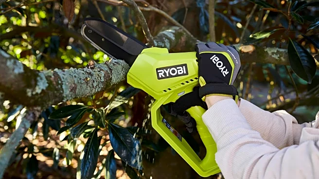 Yes, Ryobi Made A Mini Pruning Chainsaw With A 12V Internal Battery