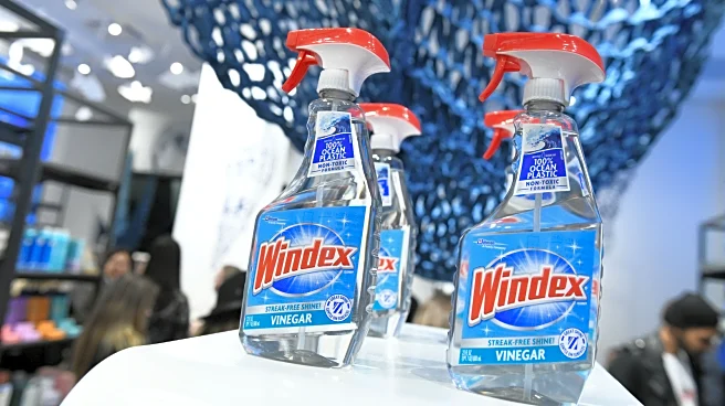 Is It Safe To Use Windex On Car Windows? Here's What You Need To Know