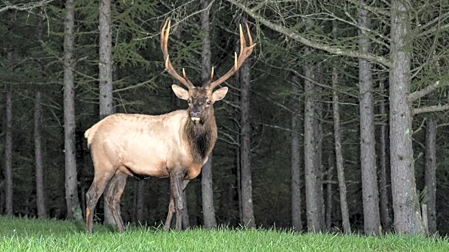 4 Things You Need To Stop Doing If You Use Hunting Trail Cameras