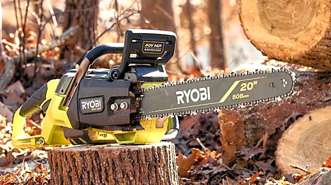 Are Ryobi And Greenworks Tools Made By The Same Company?