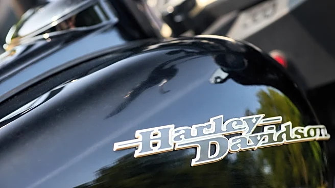 Which Harley-Davidson Models Have Radios?