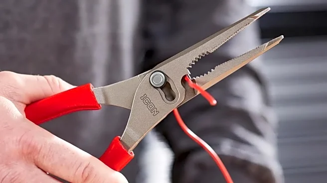 These Harbor Freight Pliers Are So Popular They Keep Selling Out