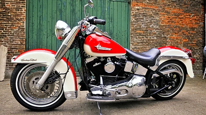 Are Harley-Davidson Softails Good For Long Rides? Here's What Riders Say