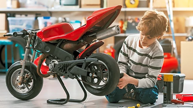 13 Of The Fastest Mini Motorcycles, Ranked By Top Speed