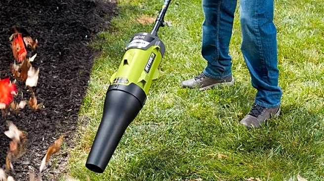 The Ryobi Expand-It Attachment That Turns Your String Trimmer Into A Leaf Blower