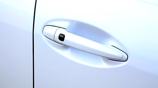 What Is That Little Button On Your Car Door Handle For?