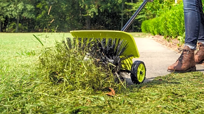The Ryobi Expand-It Attachment That Makes It Easy To Get Debris Out Of Artificial Turf