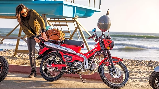 Honda Trail125: What Kind Of MPG Does It Get & Do You Need A Motorcycle License To Ride?
