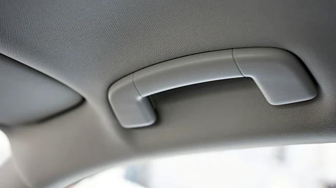 Here's What The Handles Above Your Car Doors Are Actually For