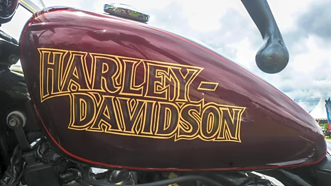 5 Of The Best Harley-Davidson Models To Buy Used