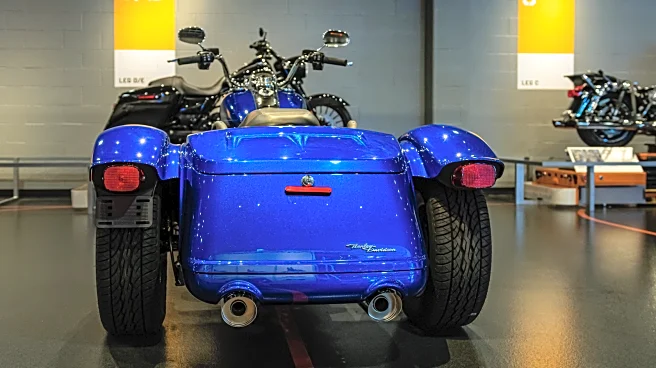 When Did Harley-Davidson Stop Selling Factory Sidecars? (And What Replaced Them?)