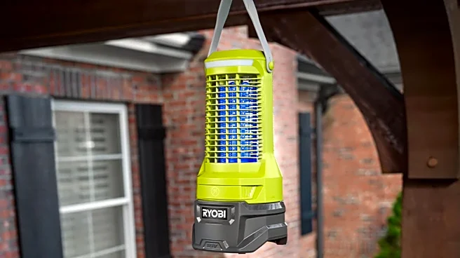 Does Ryobi's Bug Zapper Actually Work? Here's What Owners Say