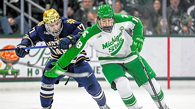 MSU hockey forward named to preseason All-Big Ten Team