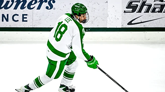MSU hockey ranked in top three nationally in USA Hockey poll