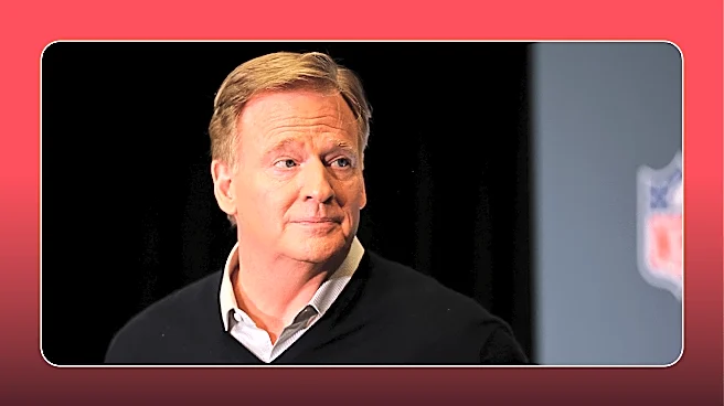 Roger Goodell Wants the NFL to Suit Up in Japan